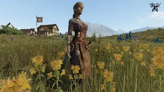 倚天2 PVP进阶：从菜鸟到高手的华丽蜕变！独家技巧，助你称霸武林！